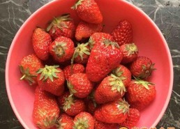 娱乐吃瓜君草莓果酱,娱乐吃瓜君的甜蜜诱惑