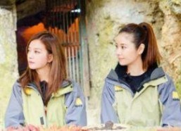 吃瓜娱乐圈万万没想到,揭秘“吃瓜群众”万万没想到的真相