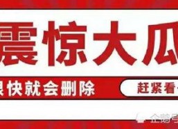 娱乐圈吃瓜 段子大全