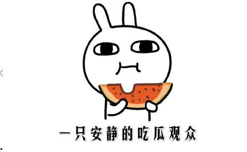 一起吃瓜是什么意思,网络热词背后的社交现象