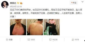 娱乐圈吃瓜熊婶,揭秘熊婶的吃瓜传奇