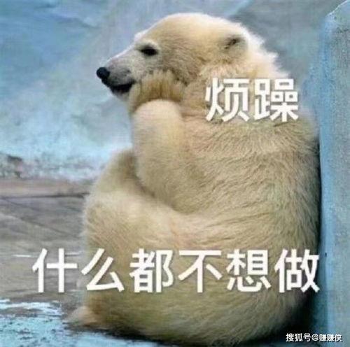 吃瓜群众照片可爱,吃瓜群众捕捉到的可爱瞬间