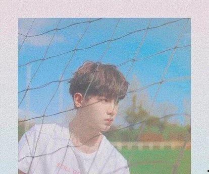 娱乐圈吃瓜爆料沈腾,揭秘幕后真相与幕后推手