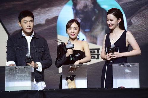 娱乐圈吃瓜爆料朋友圈,揭秘明星背后的故事