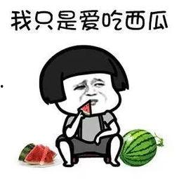 娱乐吃瓜头像高清图片,带你领略潮流风尚