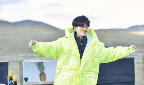 娱乐吃瓜呀任嘉伦,娱乐吃瓜界的“瓜王”