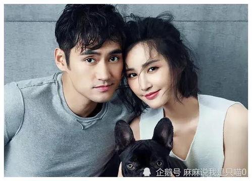 娱乐圈张杰谢娜吃瓜爆料